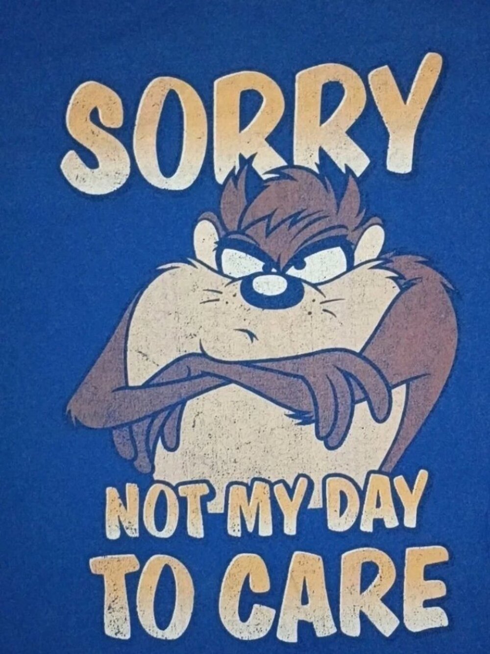 Looney Tunes Shirt Mens XL Blue Tasmanian Devil Grunge 90s Rare - Picture 2 of 4